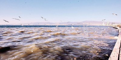 AK PARTİ'DEN SOYER'E 'KÖRFEZ RAPORUNU İZMİRLİLERE AÇIKLA'