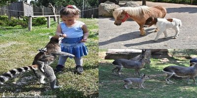 DOĞAL YAŞAM PARKI YENİDEN AÇILIYOR