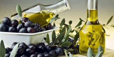 FOÇA'DA ZEYTİN HASADI VE SIKIMI BAŞLADI