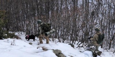 ORMANDA TERÖR OPERASYONU..İÇİŞLERİ BAKANLIĞI DUYURDU