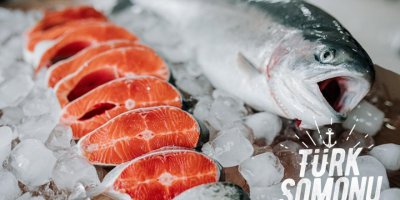 DÜNYANIN KARADENİZ SOMONUNA TALEBİ İKİYE KATLANDI