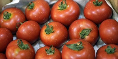 RUSYA 'DOMATES GÖNDERİN' DEDİ...KOTAYI 250 BİN TONA ÇIKARDI