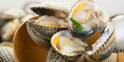 İZMİR'DE AKİVADES OPERASYONU