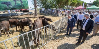 İZMİR BÜYÜKŞEHİR'DEN TARIMA TAM DESTEK