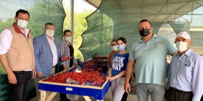 CHP İZMİR MİLLETVEKİLİ SINDIR:'KİRAZ ÜRETİCİSİNİ PANDEMİ DEĞİL PAZARA MÜDAHALELER BİTİRİYOR