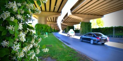 İZMİR BÜYÜKŞEHİR BELEDİYESİ ÇİÇEK DİKTİ