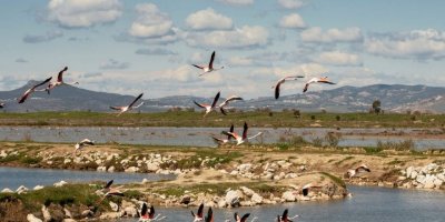 İZMİR'İN ÇEVRE YATIRIMLARI İÇİN 5,5 MİLYAR LİRA HARCANDI