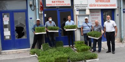 MENEMEN BELEDİYESİ VATANDAŞA 200 BİN FİDAN DAĞITTI...HEPSİ YERLİ TOHUM..