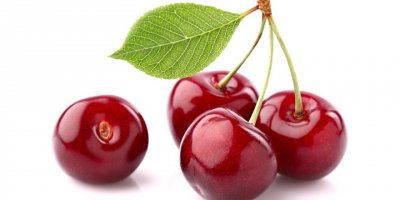 TÜRK KİRAZI ÇİN YOLCUSU