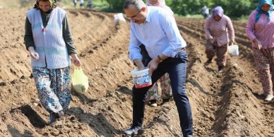 AK PARTİ İZMİR İL BAŞKANI SÜREKLİ TARLAYA İNDİ..ÖDEMİŞ İÇİN ÇALIŞIYORUZ..