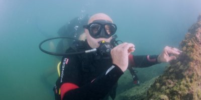 TUNÇ SOYER KÖRFEZE DALDI