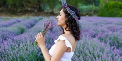 SEFERİHİSAR'DA LAVANTA ZAMANI