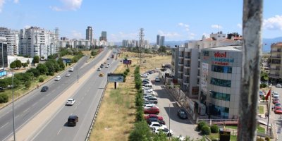 ÇİĞLİ'DE AĞAÇLAR SÖKÜLÜP SONRA YENİDEN DİKİLECEK