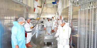 İZMİR KURBAN BAYRAMI'NA HAZIR