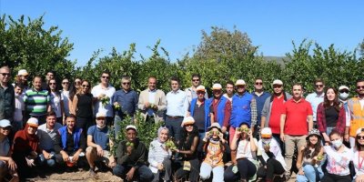 İHTİYAÇ SAHİPLERİNE GÜMÜLDÜR MANDALİNASI