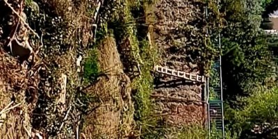 YEŞİLE KIYMAYIN EFENDİLER...ÇİĞLİ...İNCİR AĞACI, ZEYTİN AĞACI DEMEDİLER..