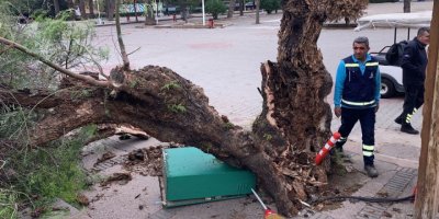 İZMİR BÜYÜKŞEHİR'DEN 'FIRTINA' RAPORU