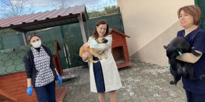 FATMA BAŞKAN PATİLİ DOSTLARA MİSAFİRLİĞE GİTTİ