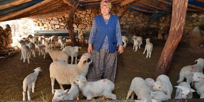 İZMİR'DE SÜT ÜRETİCİSİNE CAN SUYU