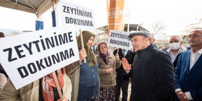 SOYER:'ZEYTİN AĞAÇLARININ YOK EDİLMESİ ASLA KABUL EDİLEMEZ'