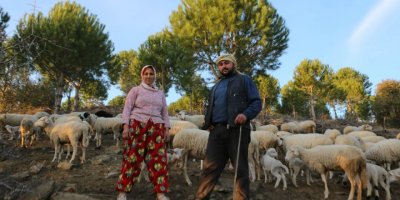 İZMİR'İN ÇOBAN HARİTASI ÇIKARILDI