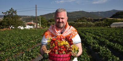 MENEMEN İZMİRLİLERİ 'ÇİLEK FESTİVALİ'NE BEKLİYOR