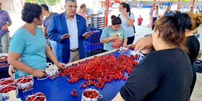 CHP'Lİ SINDIR:'ÜRETİCİ VE TÜKETİCİ BEDEL ÖDÜYOR'