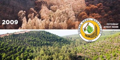 SEFERİHİSAR'DA YEŞİL SEFERBERLİĞİ