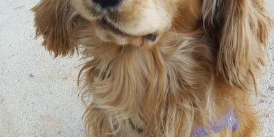 ÇAKIL'I KİM ÖLDÜRDÜ?..KOMİSYON KURULDU..