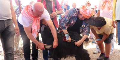 KARABURUN'DA KIRKIM ŞENLİĞİ