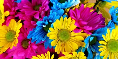 BAYINDIR 'MİS GİBİ' KOKUYOR..ÇİÇEK FESTİVALİ BAŞLADI