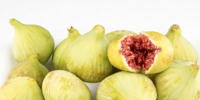 TAZE İNCİR İHRACATINDA HEDEF 100 MİLYON DOLAR