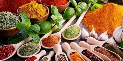 DÜNYA SOFRALARININ BAHARATLARI EGE BÖLGESİ'NDEN GİTTİ