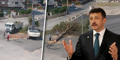 KARŞIYAKA'DA YARIM ASIRLIK AĞACI KESTİLER..AK PARTİ'DEN SERT TEPKİ