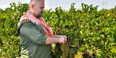 BAŞKAN VEKİLİ PEHLİVAN BAĞA GİRDİ