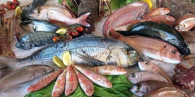 TÜRK SU ÜRÜNLERİ DÜNYA PAZARLARINI GEZİYOR