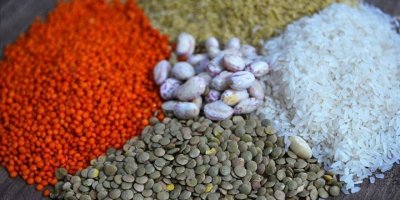 EGE HUBUBAT BAKLİYAT YAĞLI TOHUMLAR İHRACATI'NDA 1 MİLYAR DOLAR BARAJINA YAKLAŞTI