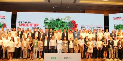 DÜNYA BAHARATININ ROTASI EGE'DE ÇİZİLDİ