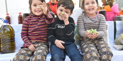 TORBALI'DA ZEYTİN FESTİVALİ DÜZENLENECEK