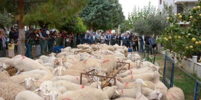 İZMİR BÜYÜKŞEHİR BELEDİYESİ'NDEN 34 ÜRETİCİYE DAHA HAYVAN DESTEĞİ