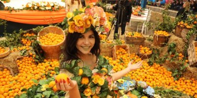 SEFERİHİSAR'DA TURUNCU ALTINA 22.FESTİVAL