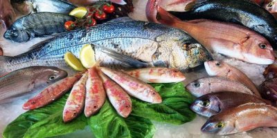 SAMBACILARIN SOFRALARINI TÜRK ÜRÜNLERİ SÜSLEYECEK