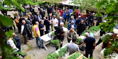 BORNOVA'DA YEREL ÜRETİCİYE 500 BİN FİDE