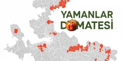 KARŞIYAKA'NIN YAMANLAR DOMATESİ İZMİR'İN 17 İLÇESİNE YAYILIYOR