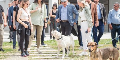 TUNÇ SOYER PATİ FESTİVALİ DÜZENLİYOR