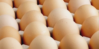 EGE'DEN TAYVAN'A İHRAÇ EDİLEN YUMURTALARDA KANSEROJEN MADDE ÇIKTI