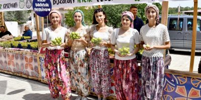 MENEMEN'DE ÇİLEKTEN SONRA İNCİR FESTİVALİ BAŞLIYOR